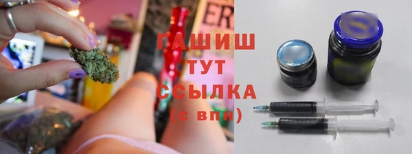 гидра Армянск